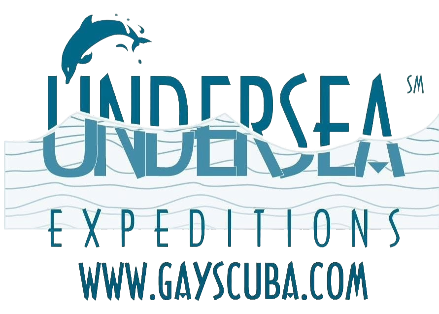 Undersea Expeditions